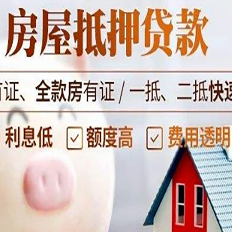 东阿贷款助贷公司新渝启服成立时间久